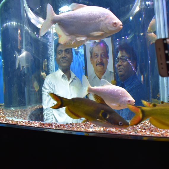 मुख्यमंत्र्यांनी १३ डिसेंबर २०१९ , वेरणा हंगा एक्वैरियम (ईबीवायएसएस) च्या अपग्रेडेशनाचे उद्घाटन केले.
