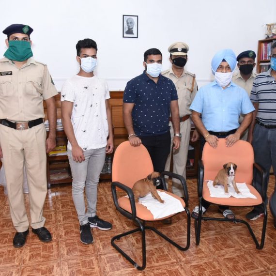 आज, 1 मे 2020, आयपीएस क्वार्टरस हांगा पोलिस महानिरीक्षक श्री जसपाल सिंग, आयपीएस, पोलिस अधीक्षक श्री बॉस्को जॉर्ज, गोंय पोलिस हेड हांच्या उपस्थितीन श्री कर्ट आनी श्री. रोल्ट कौटिन्हो नावेली हाणीं गोंय पोलिसांच्या कुत्रो पथकांक शुद्ध बॉक्सर जातीचो एक पिल्लू दिलें .