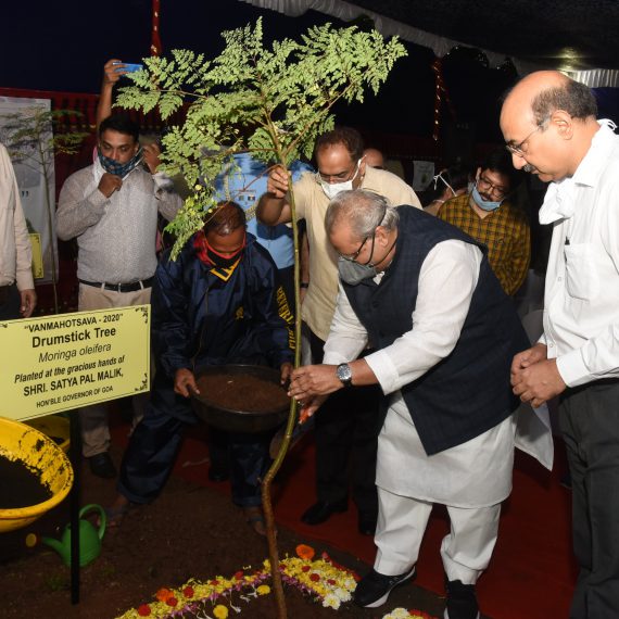 ९ जुलै २०२० ह्यादिसा औषधी वाटिका, राज भवन, डोनापौला हांगा , गोंय राज्यपाल, श्री सत्य पाल मलिक हानी “वनमहोत्सव - २०२०” दरम्यान द्रुमस्ट्रीक झाड (मोरिंगा ओलीइफेरा) चो रोप लायलो.