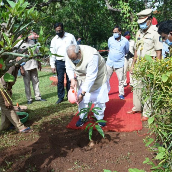 गोंयच्या राज्यपाल, श्री सत्य पाल मलिक हाणी ६ जून २०२० ह्या दिसा दोनापौला हांगा राजभवनात जागतिक पर्यावरण दिसाच्या निमतान मानकुराद आंब्याचो रोपो लायलो